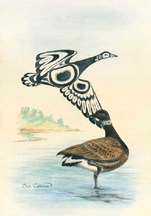 Brant's Goose